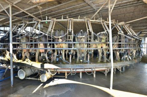 Photo of property in 330 Mahanga Road, Mahia, Nuhaka, 4198