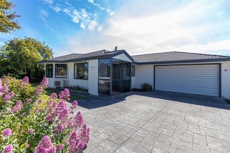 Photo of property in 45 Weld Street, Redwoodtown, Blenheim, 7201