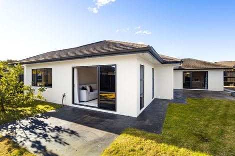 Photo of property in 20 Beaufort Place, Flagstaff, Hamilton, 3210