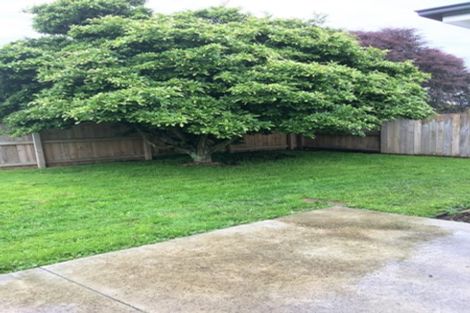 Photo of property in 56 Shamrock Street, Takaro, Palmerston North, 4412