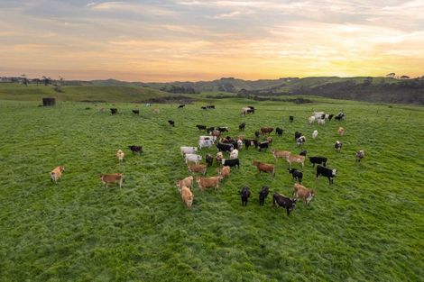 Photo of property in 122 Evans Road, Papamoa Beach, Papamoa, 3118