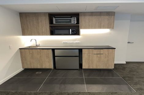 Photo of property in Pinnacle Apartments, W303/160 Victoria Street, Te Aro, Wellington, 6011
