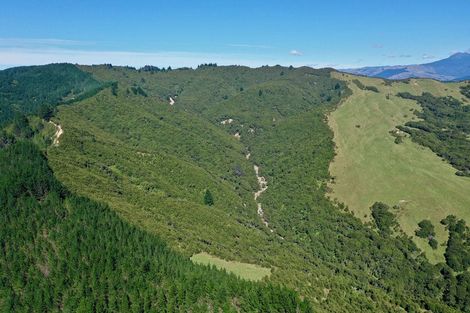 Photo of property in 397 Tuparoa Road, Ruatoria, 4082