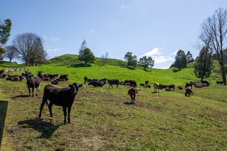 Photo of property in 396 Whirinaki Valley Road, Ngakuru, Rotorua, 3077