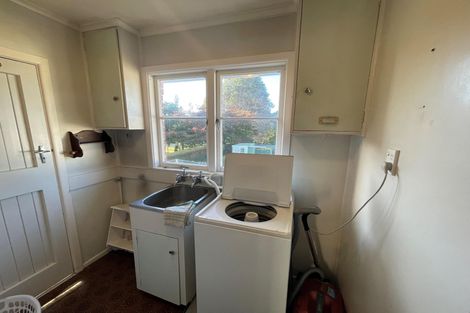 Photo of property in 19 Sholson Street, Putaruru, 3411