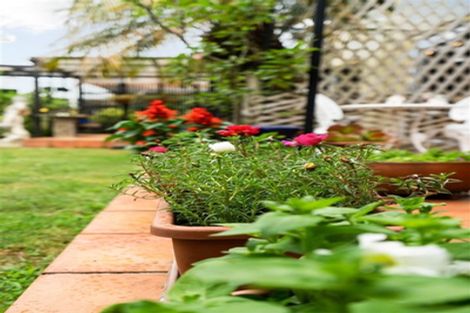 Photo of property in 8a Hassard Street, Kensington, Whangarei, 0112