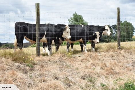 Photo of property in 37 Kaka Street, Taupo, 3330