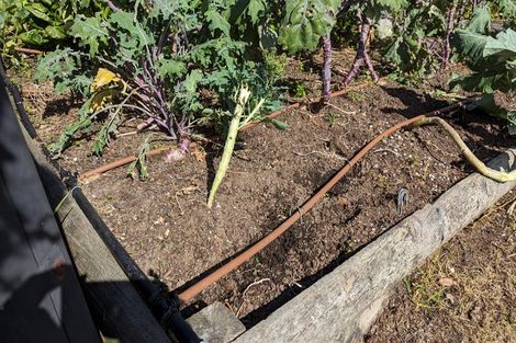 Photo of property in 172 Dickson Road, Papamoa Beach, Papamoa, 3118