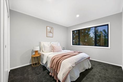 Photo of property in 30a Alison Street, Hamilton Lake, Hamilton, 3204