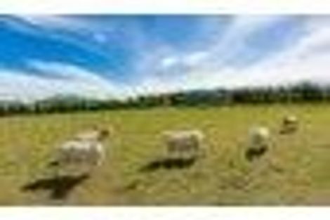 Photo of property in 56 Manse Road, Leeston, 7632