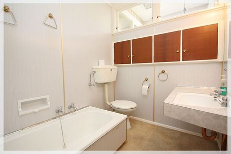 Photo of property in 79 Queen Street West, Levin, 5510