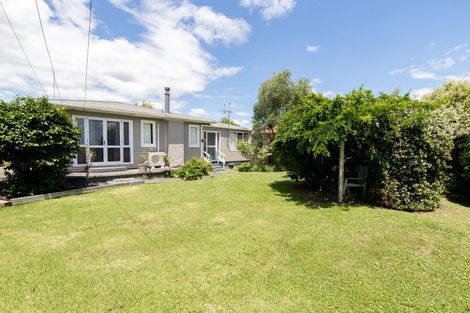 Photo of property in 21 Hayward Road, Ngatea, 3503