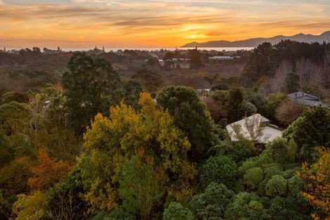 Photo of property in 60 Leinster Avenue, Raumati South, Paraparaumu, 5032
