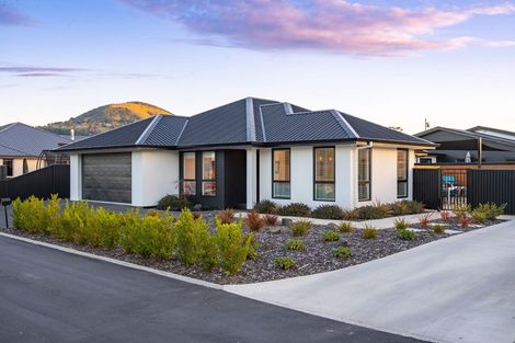 Photo of property in 6 Tuwhare Lane, Mosgiel, 9024