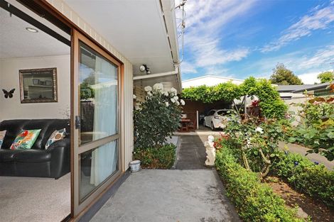 Photo of property in 702a Williams Street, Mahora, Hastings, 4120