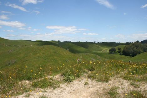 Photo of property in 99 Tarver Lane, Pikowai, Matata, 3194