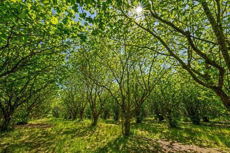 Photo of property in 191 Tyntesfield Road, Waihopai Valley, Blenheim, 7276