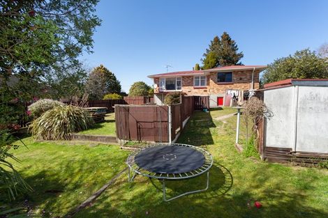 Photo of property in 16 Clothier Street, Putaruru, 3411