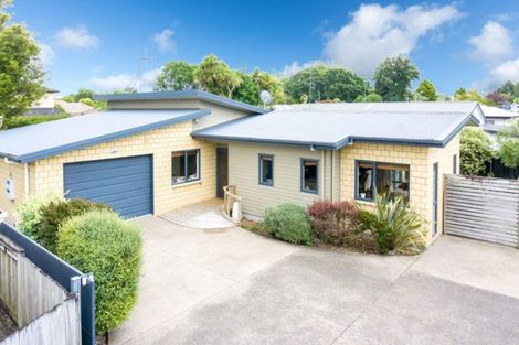 Photo of property in 67a East Street, Enderley, Hamilton, 3214