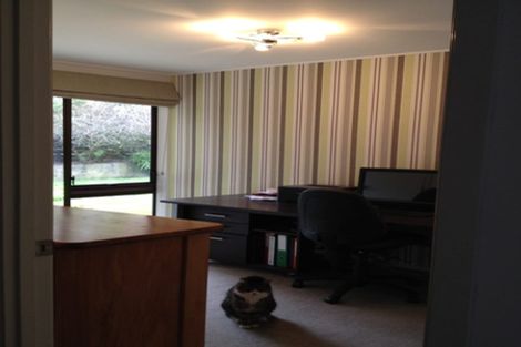 Photo of property in 16 Pyatt Crescent, Saint Johns, Auckland, 1072