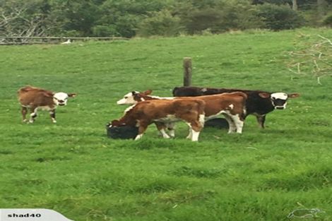 Photo of property in 70 Westhead Road, Pollok, Waiuku, 2683