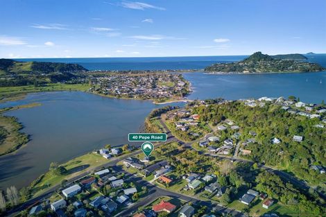 Photo of property in 40 Pepe Road, Tairua, 3508