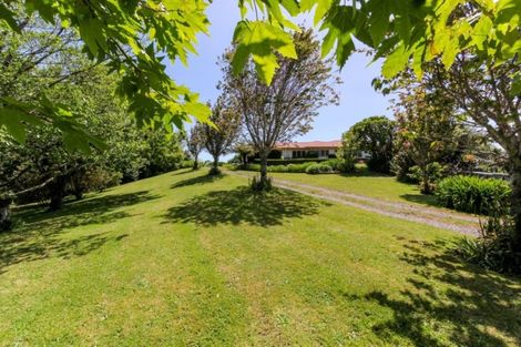 Photo of property in 171 Sealy Road, Omata, New Plymouth, 4374