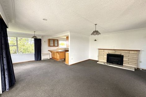 Photo of property in 103a Wilson Road, Balclutha, 9230