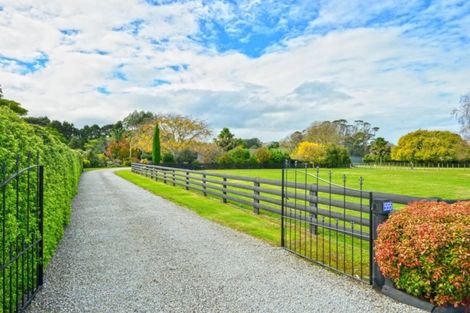 Photo of property in 555 Back Ormond Road, Makauri, Gisborne, 4071