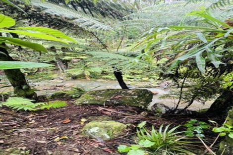 Photo of property in 275 Lillis Lane, Coromandel, 3506