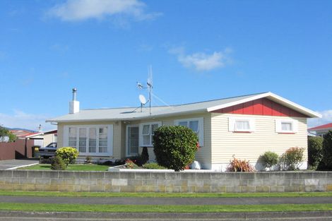 Photo of property in 10 Ross Street, Levin, 5510