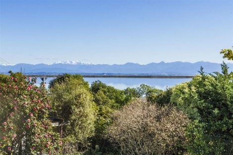 Photo of property in 7 Tresillian Avenue, Marybank, Nelson, 7010