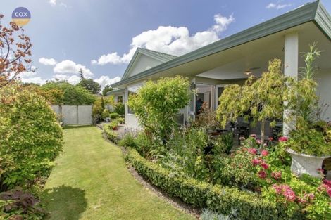 Photo of property in 21 Palmbrook Avenue, Havelock North, 4130