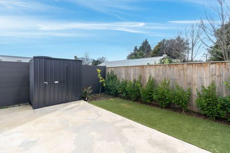 Photo of property in 59 Pipi Place, Levin, 5510