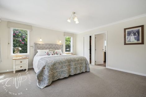 Photo of property in 213 Runciman Road, Ramarama, Pukekohe, 2677