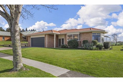 Photo of property in 294 Grandview Road, Western Heights, Hamilton, 3200