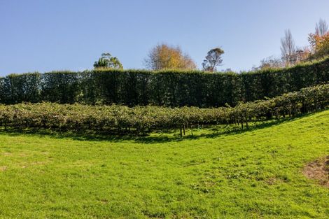 Photo of property in 394 Old Highway, Whakamarama, 3180