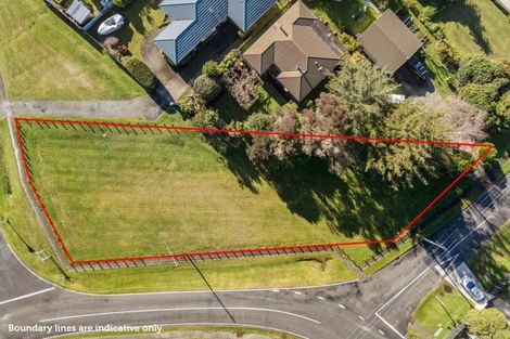 Photo of property in 15b Silverton Road, Waihi, 3610
