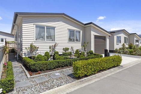 Photo of property in 11 Kamahi Crescent, Papamoa Beach, Papamoa, 3118