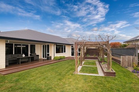 Photo of property in 41 Ludlow Drive, Huntingdon, Ashburton, 7774