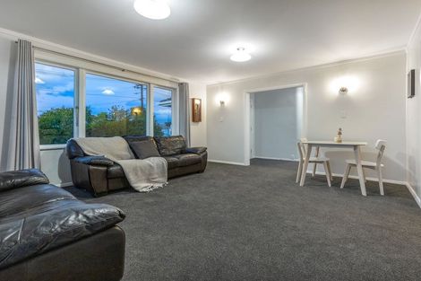 Photo of property in 8 Middlesex Street, Levin, 5510