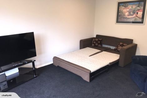 Photo of property in 149 Saint Albans Street, St Albans, Christchurch, 8014