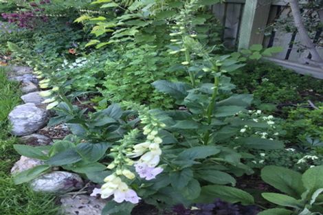 Photo of property in 61 Shields Street, Clyde, 9330