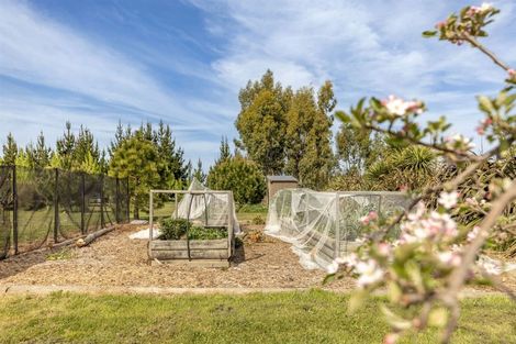 Photo of property in 304 Stokes Road, Balcairn, Amberley, 7481