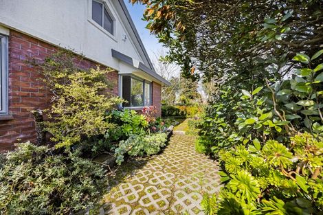 Photo of property in 217 Carrington Street, Vogeltown, New Plymouth, 4310