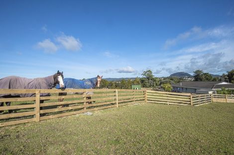 Photo of property in 133a Vinegar Hill Road, Kauri, Kamo, 0185