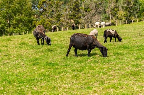 Photo of property in 438b Oruawharo Road, Oruawharo, Wellsford, 0975