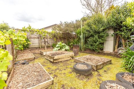 Photo of property in 5 Bush Street, Paeroa, 3600
