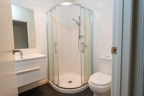 Photo of property in 4/5 Edgecumbe Street, Whitiora, Hamilton, 3200