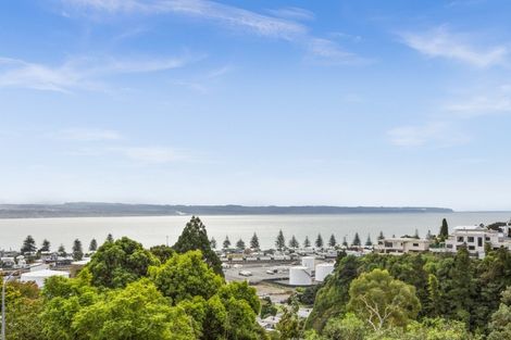 Photo of property in 14 George Street, Hospital Hill, Napier, 4110